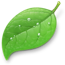 Coda Icon